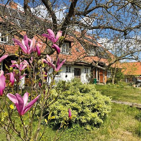 Ferienhof Rauchhaus Karft 외부 사진
