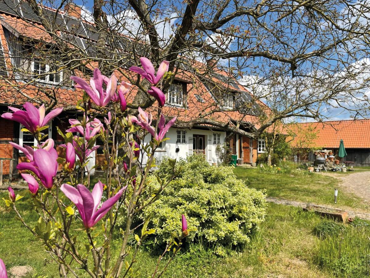 Ferienhof Rauchhaus Karft 외부 사진