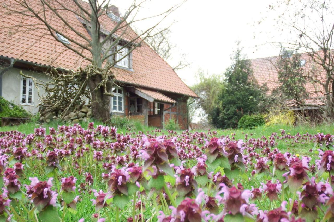 Ferienhof Rauchhaus Karft 외부 사진